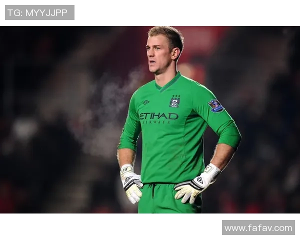 加菲足球球星背后的故事与成就解析:他们如何改变了足球的格局