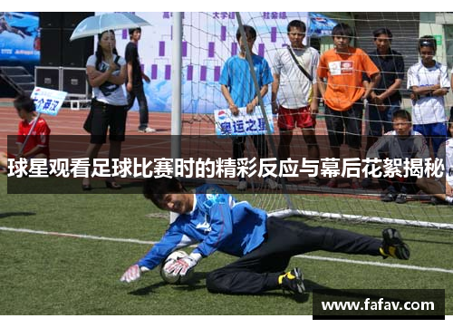 球星观看足球比赛时的精彩反应与幕后花絮揭秘